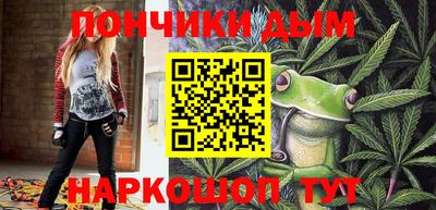 СК Дубна