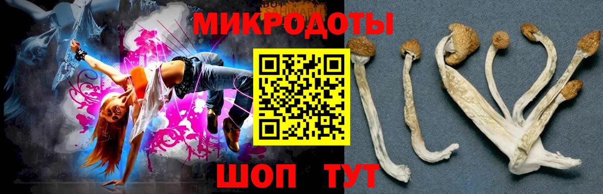 наркошоп  Псилоцибиновые грибы прущие грибы  Вход с VPN  Псилоцибиновые грибы мицелий  Коломна 